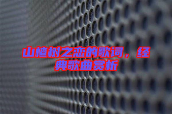 山楂樹之戀的歌詞，經(jīng)典歌曲賞析