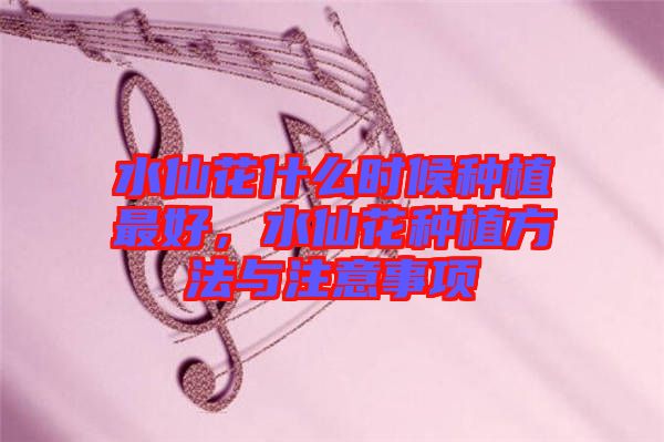 水仙花什么時(shí)候種植最好，水仙花種植方法與注意事項(xiàng)