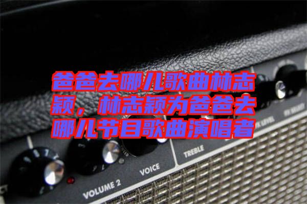 爸爸去哪兒歌曲林志穎，林志穎為爸爸去哪兒節(jié)目歌曲演唱者