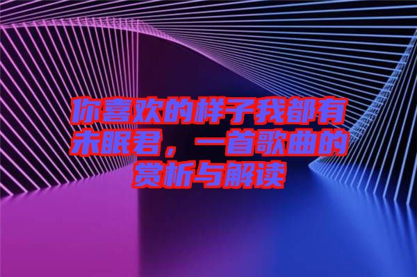 你喜歡的樣子我都有未眠君，一首歌曲的賞析與解讀