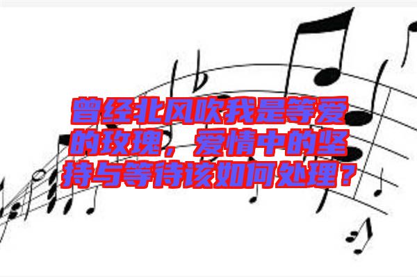 曾經(jīng)北風吹我是等愛的玫瑰，愛情中的堅持與等待該如何處理？