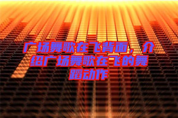 廣場(chǎng)舞歌在飛背面，介紹廣場(chǎng)舞歌在飛的舞蹈動(dòng)作