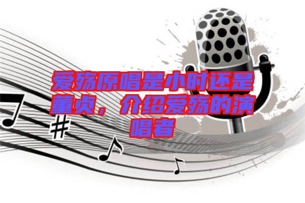 愛殤原唱是小時(shí)還是董貞，介紹愛殤的演唱者