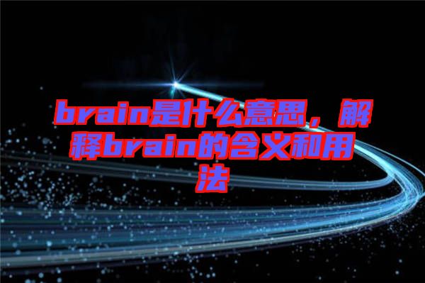 brain是什么意思，解釋brain的含義和用法