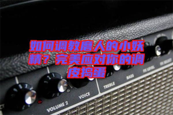 如何調(diào)教磨人的小妖精？完美應對你的調(diào)皮搗蛋