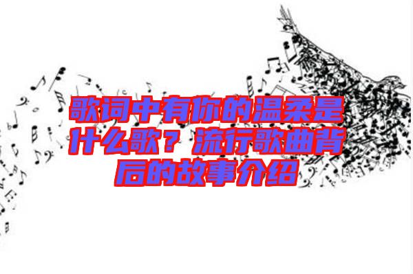 歌詞中有你的溫柔是什么歌？流行歌曲背后的故事介紹