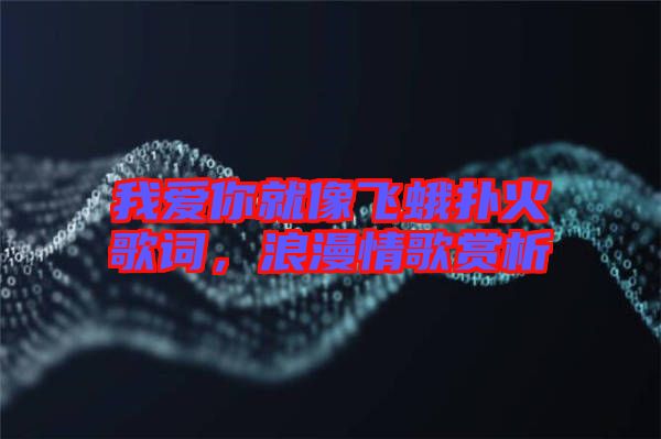 我愛你就像飛蛾撲火歌詞，浪漫情歌賞析