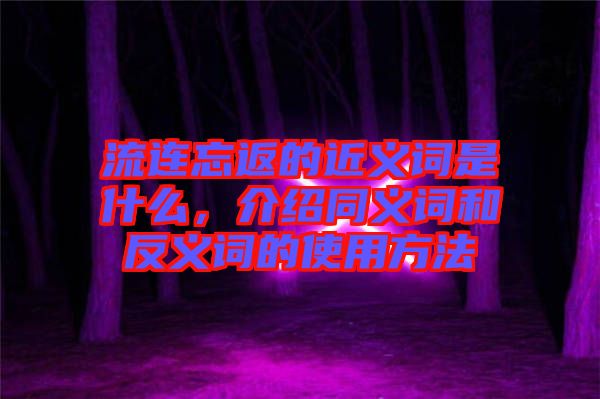 流連忘返的近義詞是什么，介紹同義詞和反義詞的使用方法