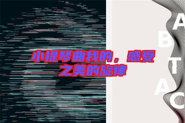 小提琴曲我的，感受之美的旋律