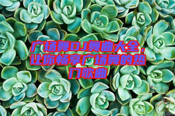 廣場舞DJ舞曲大全，讓你暢享廣場舞的熱門歌曲