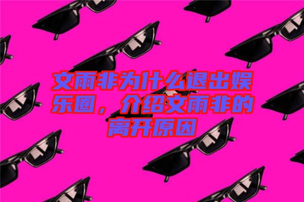 文雨非為什么退出娛樂圈，介紹文雨非的離開原因