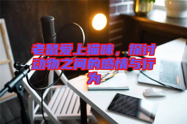 老鼠愛(ài)上貓咪，探討動(dòng)物之間的感情與行為