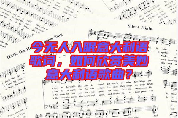 今無(wú)人入眠意大利語(yǔ)歌詞，如何欣賞美妙意大利語(yǔ)歌曲？