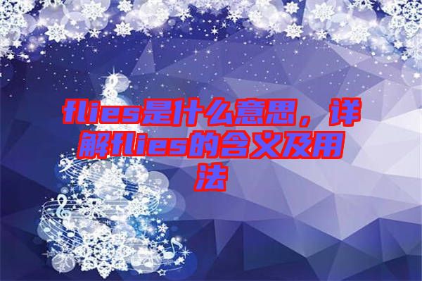 flies是什么意思，詳解flies的含義及用法