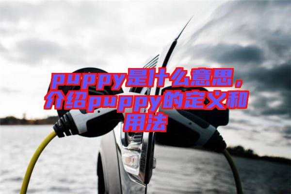puppy是什么意思，介紹puppy的定義和用法