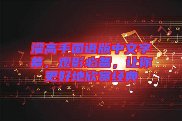 灌高手國(guó)語(yǔ)版中文字幕，觀影必備，讓你更好地欣賞經(jīng)典