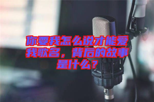你要我怎么說(shuō)才能愛(ài)我歌名，背后的故事是什么？