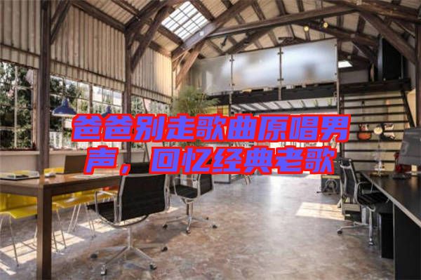 爸爸別走歌曲原唱男聲，回憶經(jīng)典老歌