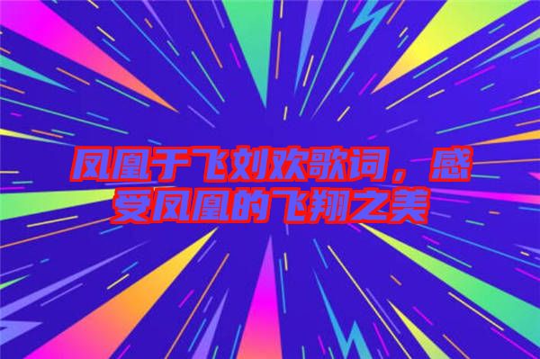 鳳凰于飛劉歡歌詞，感受鳳凰的飛翔之美