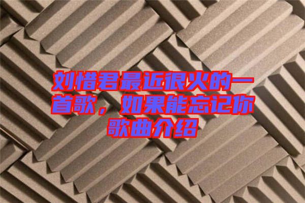 劉惜君最近很火的一首歌，如果能忘記你歌曲介紹