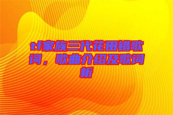 tf家族三代花田錯歌詞，歌曲介紹及歌詞析