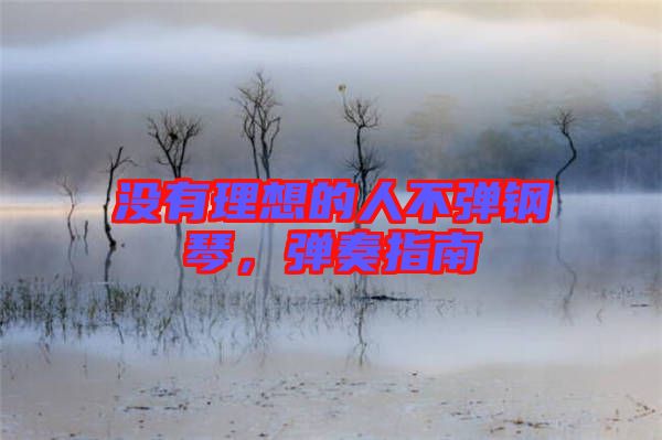 沒有理想的人不彈鋼琴，彈奏指南