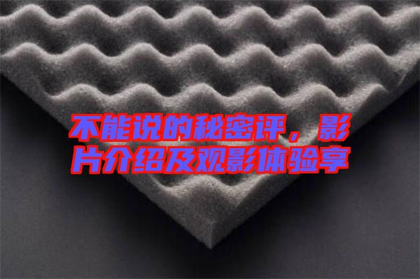 不能說的秘密評(píng)，影片介紹及觀影體驗(yàn)享
