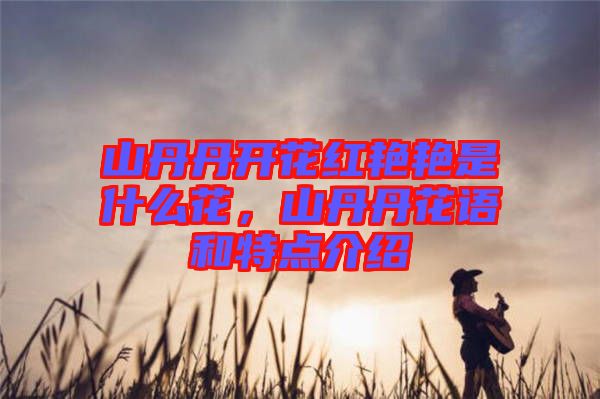山丹丹開花紅艷艷是什么花，山丹丹花語和特點介紹