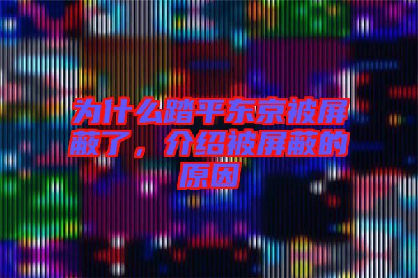 為什么踏平東京被屏蔽了，介紹被屏蔽的原因