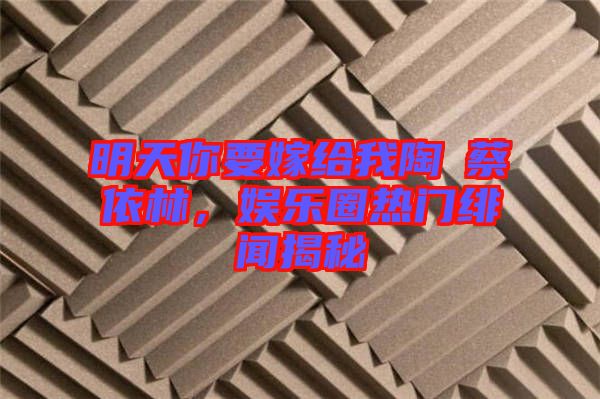 明天你要嫁給我陶喆蔡依林，娛樂(lè)圈熱門(mén)緋聞揭秘