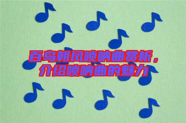 百鳥(niǎo)朝鳳嗩吶曲賞析，介紹嗩吶曲的魅力