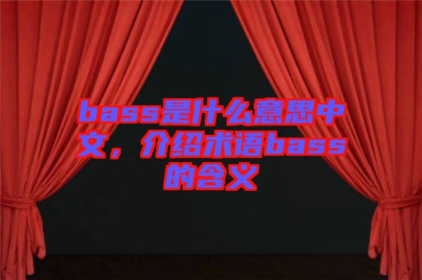 bass是什么意思中文，介紹術(shù)語bass的含義