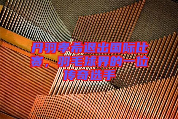 丹羽孝希退出國際比賽，羽毛球界的一位傳奇選手