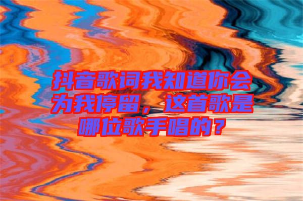 抖音歌詞我知道你會為我停留，這首歌是哪位歌手唱的？