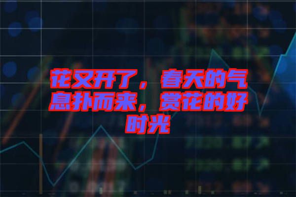 花又開(kāi)了，春天的氣息撲而來(lái)，賞花的好時(shí)光