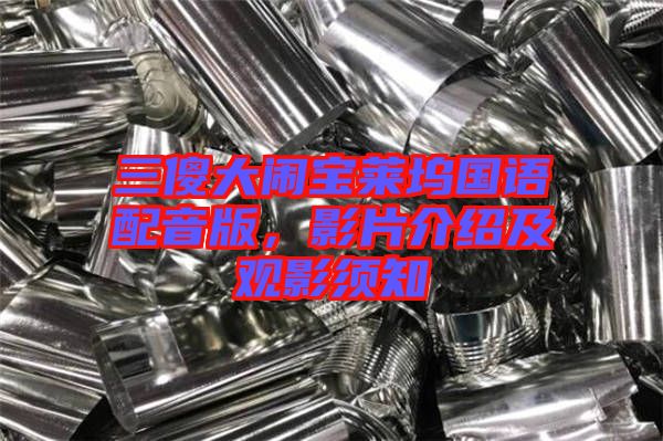 三傻大鬧寶萊塢國語配音版，影片介紹及觀影須知