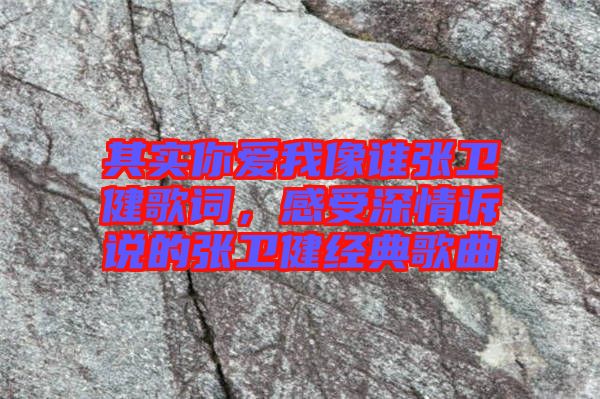 其實(shí)你愛(ài)我像誰(shuí)張衛(wèi)健歌詞，感受深情訴說(shuō)的張衛(wèi)健經(jīng)典歌曲
