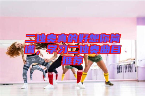 二獨(dú)奏真的好想你簡(jiǎn)譜，學(xué)習(xí)二獨(dú)奏曲目推薦