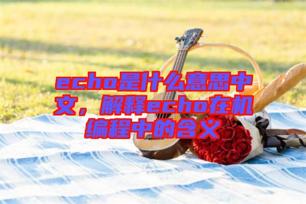 echo是什么意思中文，解釋echo在機(jī)編程中的含義