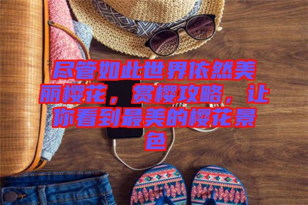 盡管如此世界依然美麗櫻花，賞櫻攻略，讓你看到最美的櫻花景色