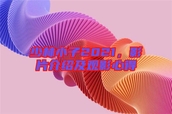 少林小子2021，影片介紹及觀影心得