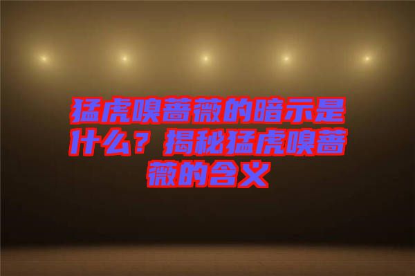 猛虎嗅薔薇的暗示是什么？揭秘猛虎嗅薔薇的含義