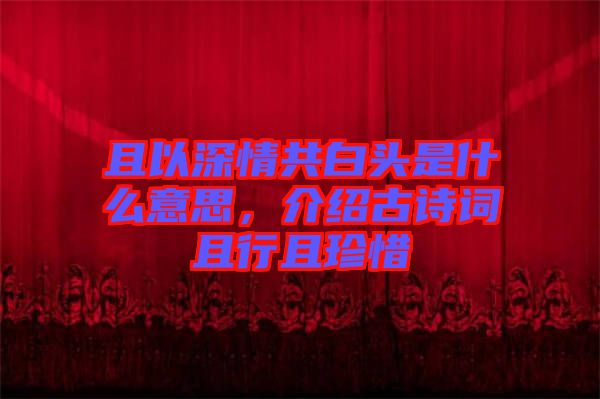 且以深情共白頭是什么意思，介紹古詩詞且行且珍惜