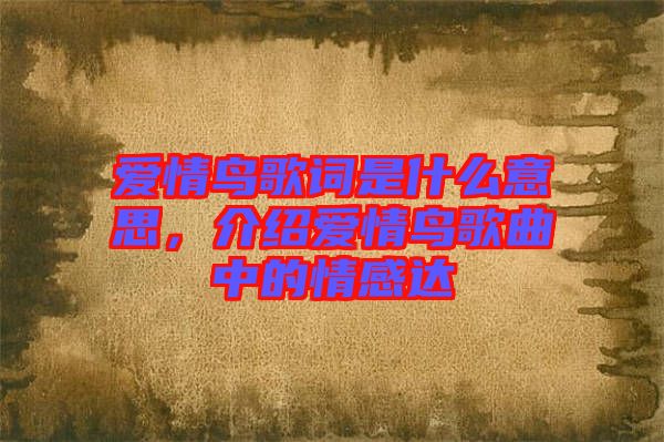 愛情鳥歌詞是什么意思，介紹愛情鳥歌曲中的情感達
