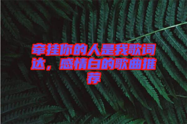 牽掛你的人是我歌詞達(dá)，感情白的歌曲推薦
