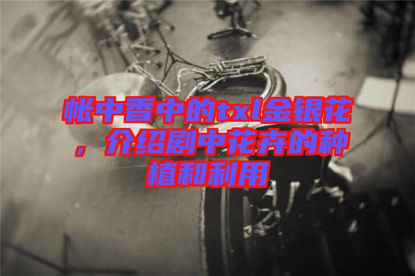 帳中香中的txl金銀花，介紹劇中花卉的種植和利用