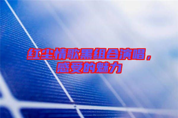 紅塵情歌黑組合演唱，感受的魅力