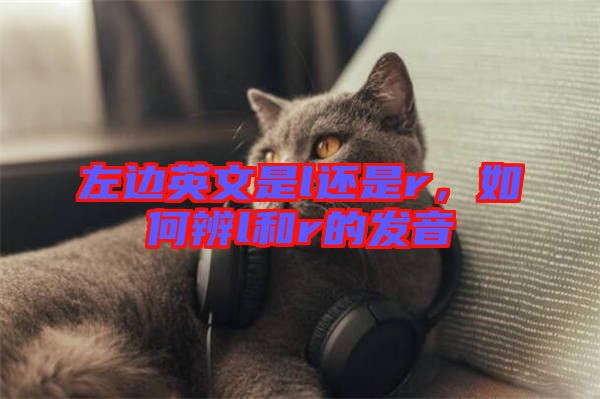 左邊英文是l還是r，如何辨l和r的發(fā)音