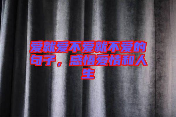 愛就愛不愛就不愛的句子，感悟愛情和人生