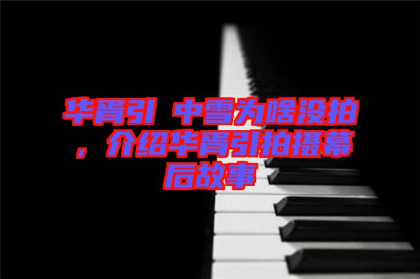 華胥引柸中雪為啥沒拍，介紹華胥引拍攝幕后故事